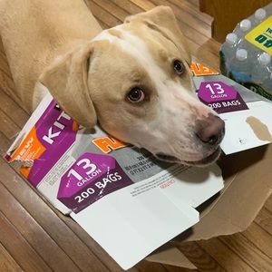 Meet your Posher, Ana